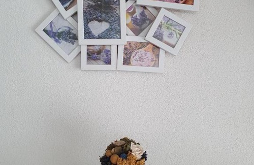 Blotzheim House | Petit Cocon Vert