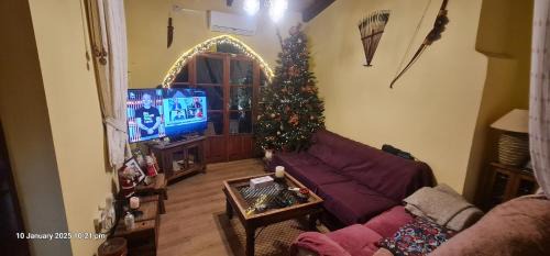 Nicosia House | Petro's Antique House