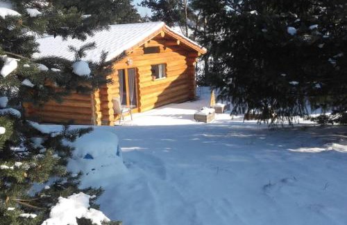 La Chapelle-d'Aurec House | Pialous:Chalet en rondins avec Espace Détente