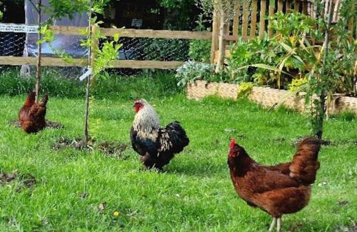 Holworth House | Piddle Puddle Cabin