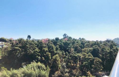 Shillong House | Pine Hill Comfort Stay