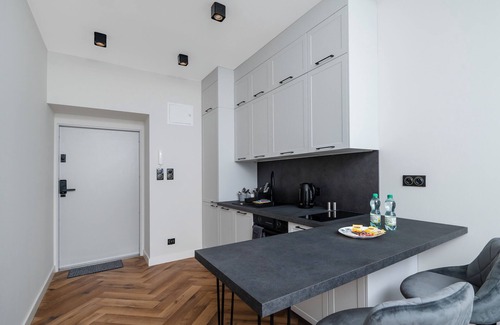 Srodmiescie Apartment | Piotrkowska Grand Avenue Apartment #C