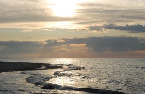 Plesna Bed & Breakfast | Pleśna Park