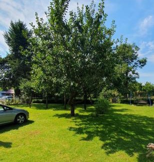 gmina Sianow House | Pod orzechem