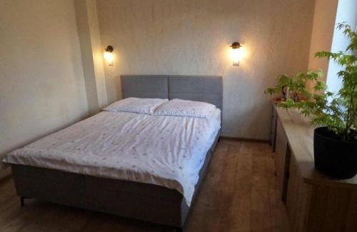 Checiny House | Pod srebrną różą