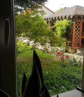 Checiny House | Pod srebrną różą