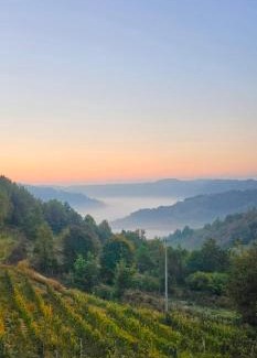 Murazzano House | Podere Martina in Altalanga