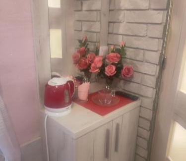 Gniezno Bed & Breakfast | Pokój dla jednej osoby z łazienką