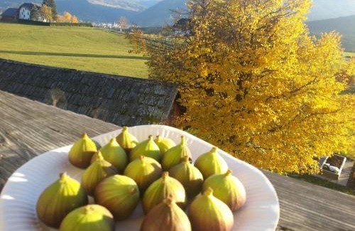 Sankt Andrae im Lungau Apartment | Polzhof