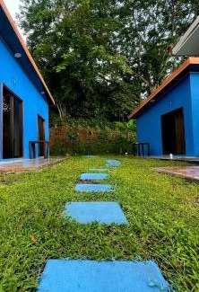 Matapalo House | POSADA MIRADIA