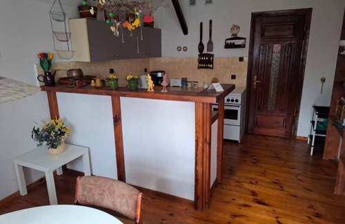 Szczytno Apartment | Posh Residence with the charm of an nice eco home and with the painting Gallery