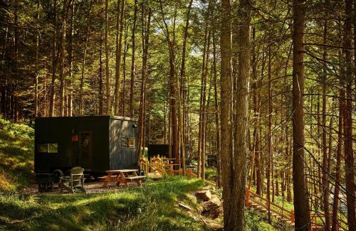 Epsom Other | Postcard Cabins Blake Brook, Outdoor Collection by Marriott Bonvoy