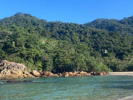 Trindade Bed & Breakfast | Pousada Vista para Mata