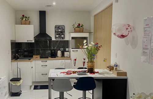 Wintzenheim Apartment | Pretty 70m2 SUITE SOLIE SPA in WINTZENHEIM