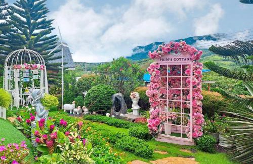 Khaem Son Cabin | Prim's Cottage Khaokho พริม คอทเทจ เขาค้อ วัดผาซ่อนแก้ว