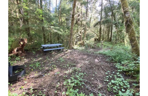 Forks RV Rental | Primitive Tent Site #14- Beautiful Forested Property