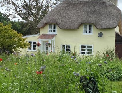 Holworth House | Primrose Cottage