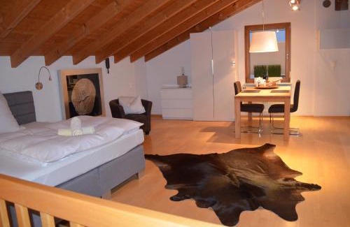 Neckarsulm Apartment | Prinz City Apartments mit Klimaanlagen