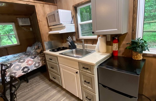 Rutherfordton Cabin | Private 1BR Cabin With Fenced In Dedicated Yard