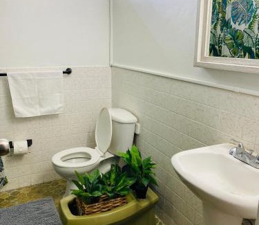 Caimito Bed & Breakfast | Private Room and Bath for 2