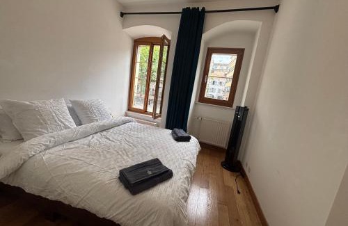 Vevey Apartment | Private Room in Central Vevey Shared Kitchen & Bathroom
