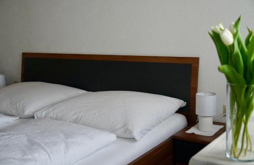 Illmitz House | Privatzimmer Haider