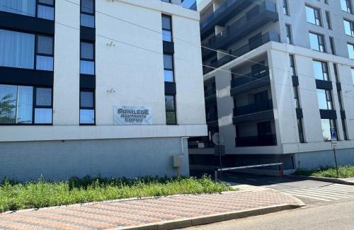 Iasi Apartment | Privilege Apartments Copou
