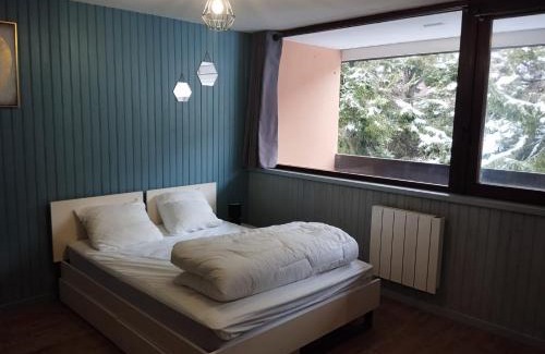 Besse-et-Saint-Anastaise Apartment | Proches des pistes F2 36m2 4-6 pers 2 étoiles