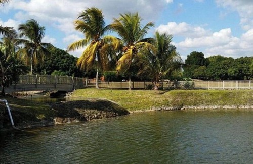 Homestead House | Propery is 20 min from florida keys huge space and parking for boat