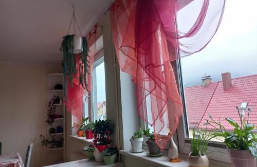 Lubawka Apartment | Przy granicy