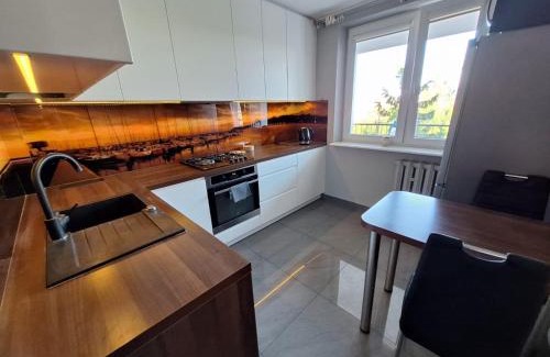 Karwiny Apartment | Przytulne mieszkanie w Gdyni