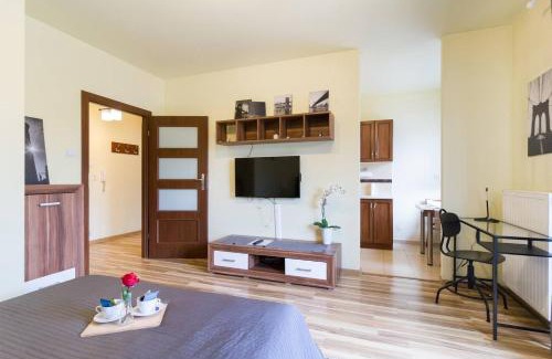 Pradnik Czerwony Apartment | Przytulny apartament z parkingiem blisko Tauron Areny