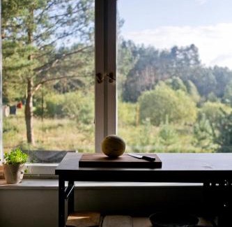 Brusy House | Przytulny dom w sosnowym lesie nad rzeką i jeziorem