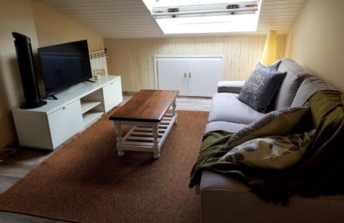 Puigcerda Apartment | PUIGPEDROS15