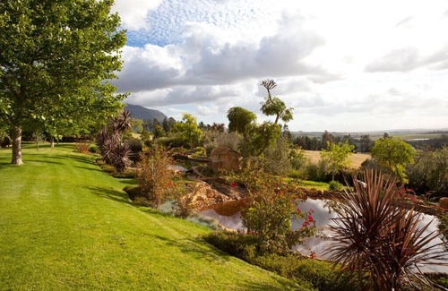 Stellenbosch Cottage | Pure indulgence on an olive farm surrounded by fynbos nature and vineyards