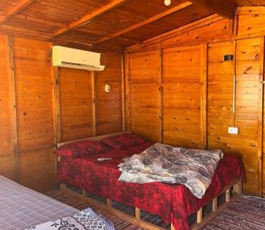 Nuweiba Other | Qamar Sinai