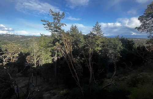 Langford House | Quiet Mountainside Guesthouse with Ocean Views