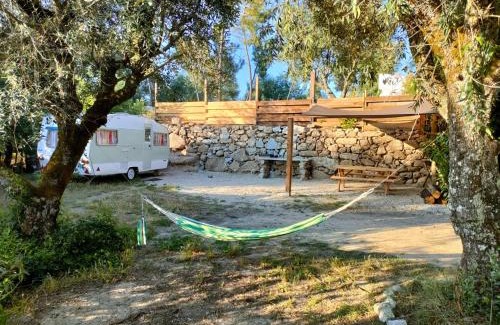 Fornos de Algodres Other | Quinta dos Covões