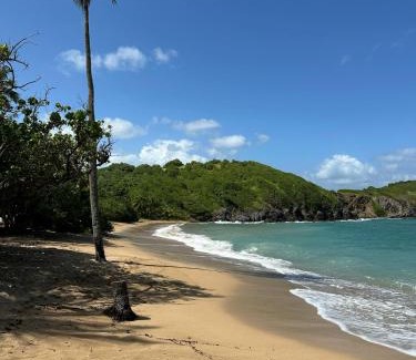 Gros Raisins Apartment | Résidence au cœur des îles Martinique 23