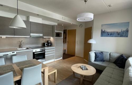 Rukatunturi Apartment | R-Chalet Ruka (2302)