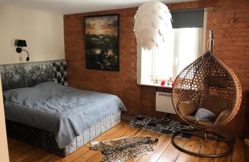 Stameriena Apartment | R.Wolf castle