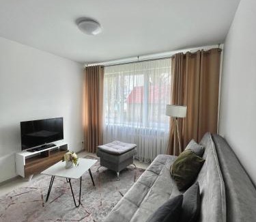 Radviliskis Apartment | Radvilų apartamentai