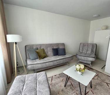 Radviliskis Apartment | Radvilų apartamentai