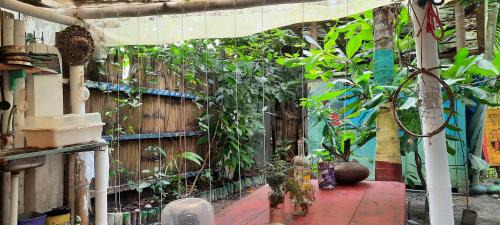 Mompiche House | Raices Mompiche