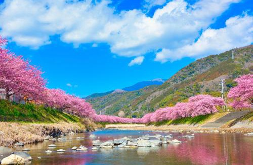 Kisami Apartment | Ramjet Kisami Beach House Shimoda - Enjoy Sakura, Beach and BBQ!