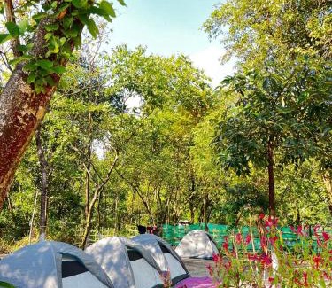 Laitmawsiang Other | Rapsyngkremcampsite