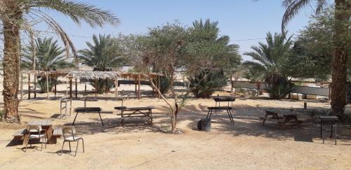 Hatseva Other | Ras Hasita