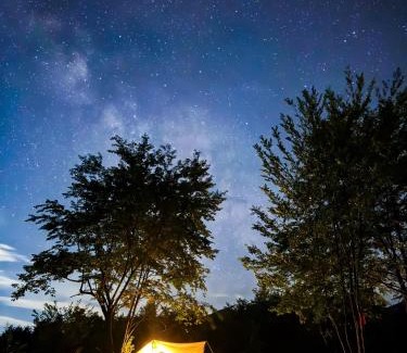 Shirasu Other | Rasta Camp Hakushu - Vacation STAY 03221v