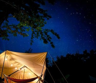 Shirasu Other | Rasta Camp Hakushu - Vacation STAY 03221v