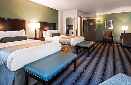 Downtown Chicago Hotel | Recharge & Relax! Three Comfortable Units for Group Travel Near Willis Tower